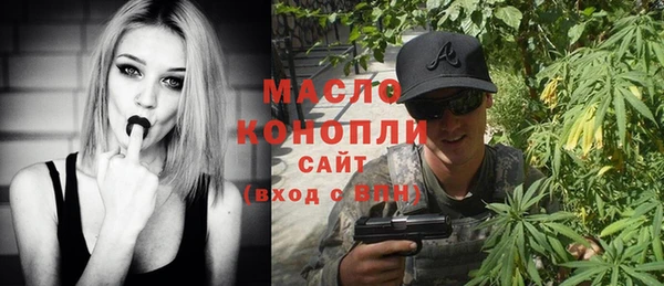 гидра Богородицк